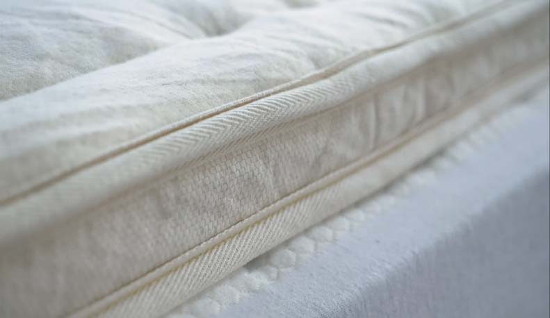 The Side Of The Birch Plush Pillow Top