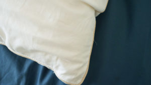 Birch Organic Pillow