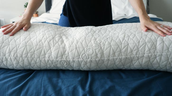 Coop Home Goods Body Pillow