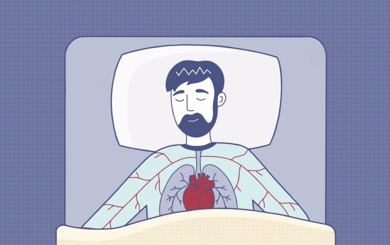 Everything That Happens To Your Body While You Sleep