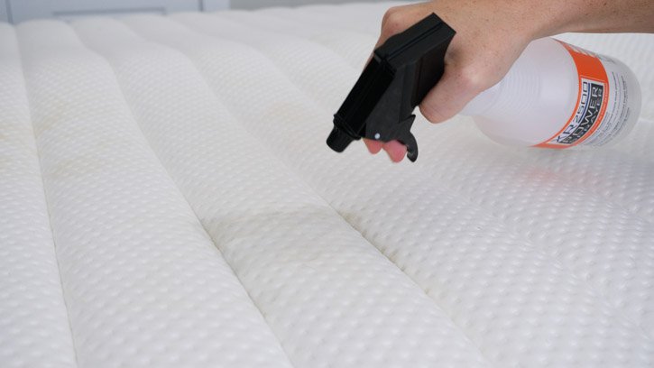 a person cleans a mattress