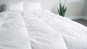 Brooklinen Down Comforter