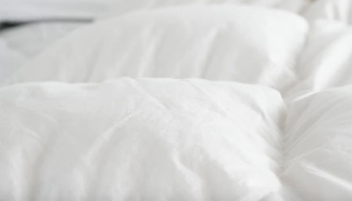 Best Down Comforter