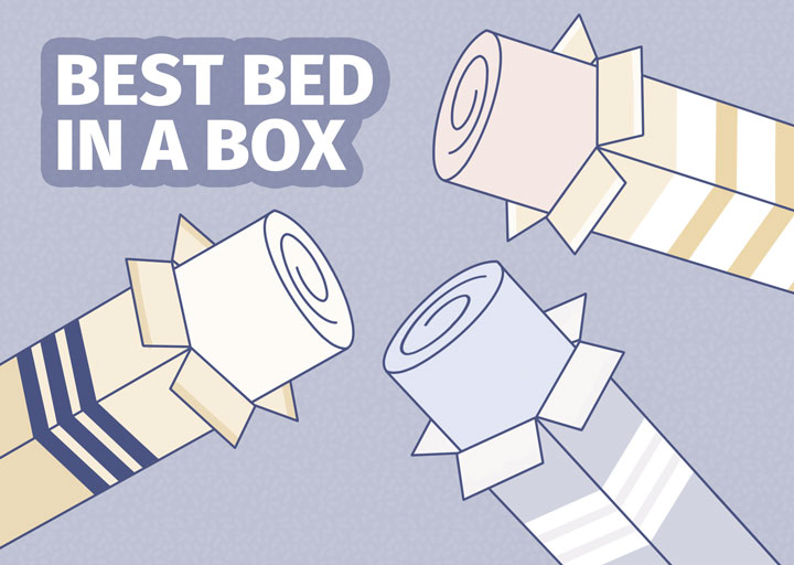 10 Best Mattresses In A Box (2024) Mattress Clarity