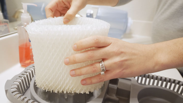 A close up image of a water filter that goes inside of a humidifier.