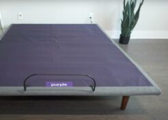 Purple Ascent Adjustable Base