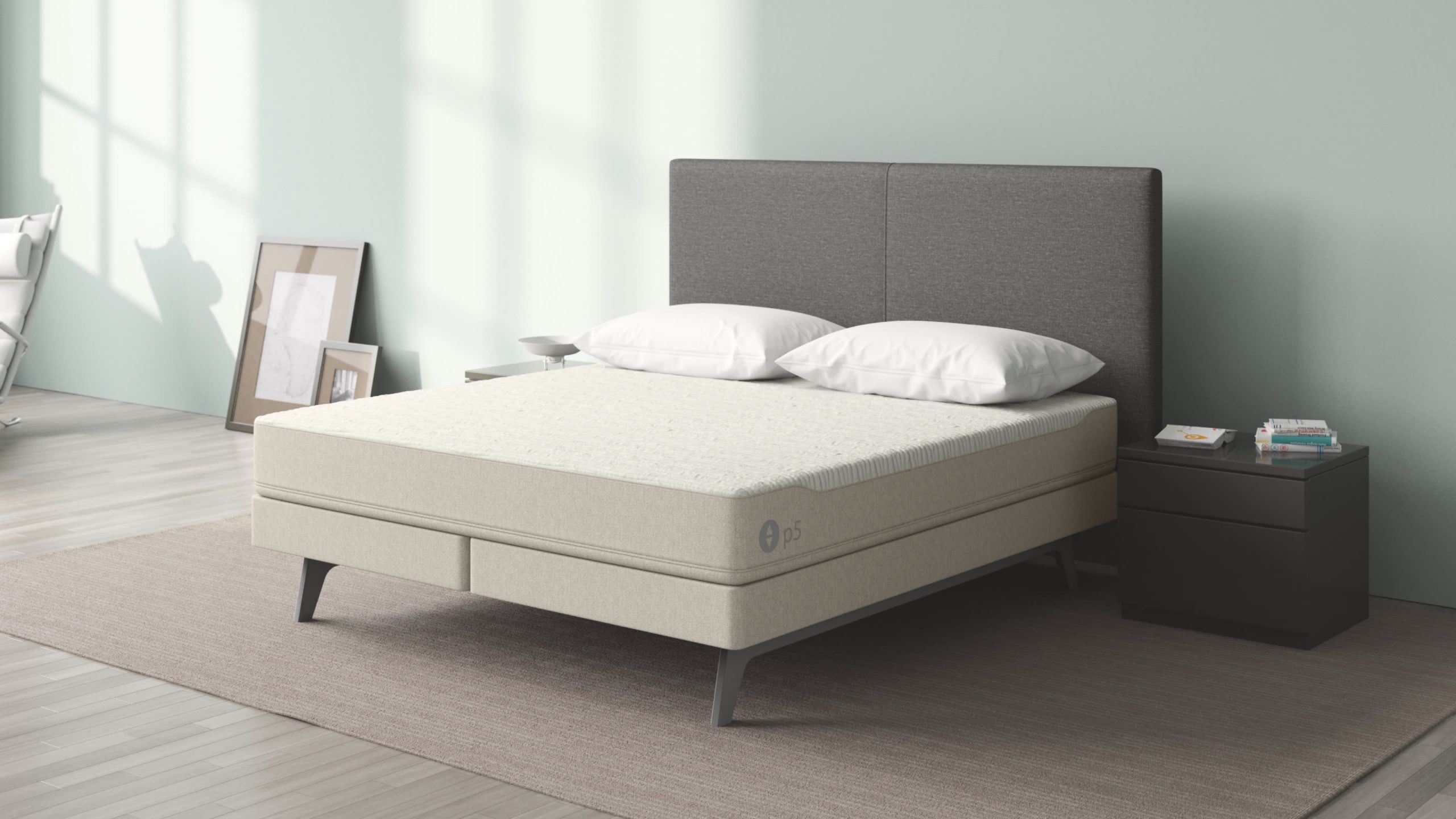 Photo of
Sleep Number 360 p5 Smart Mattress