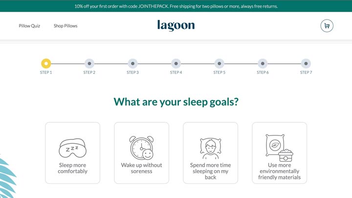 Lagoon Sleep Pillows - Taking the Quiz Q1