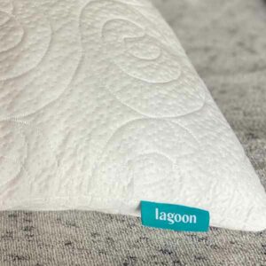 A close up image of the label on the Lagoon Otter that reads "Lagoon"