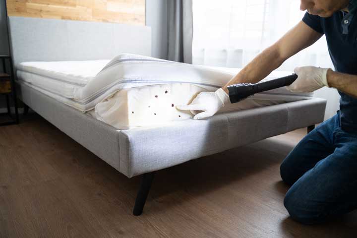 A pest control professional inspects a mattress for bed bugs