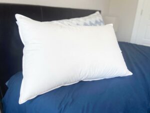 Plushbeds Goose Down Pillow