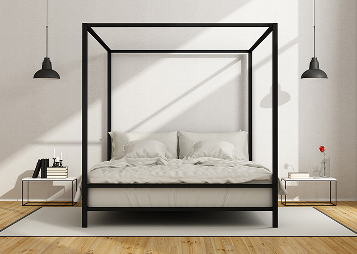 Contemporary Canopy bed