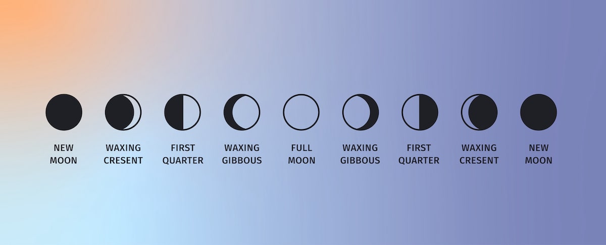 Graphic of moon cycles