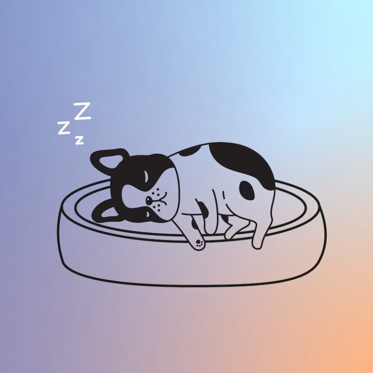dog dreaming