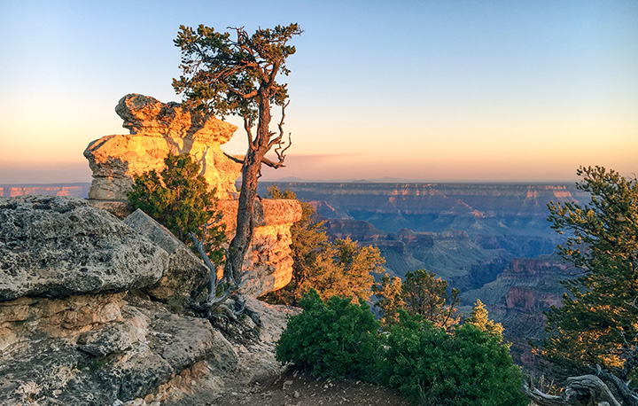A landscape view of the northern rim of the Grand Canyon