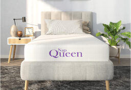 NapQueen Mattress