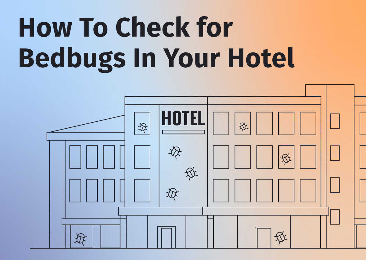 how to check for bed buds in your hotel