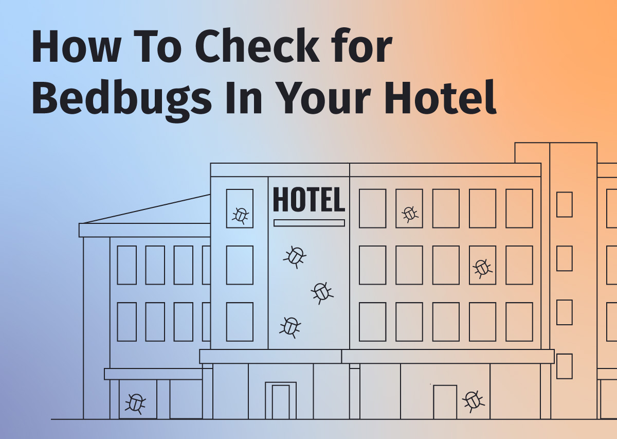 Top 5 Tips for Preventing Bed Bugs