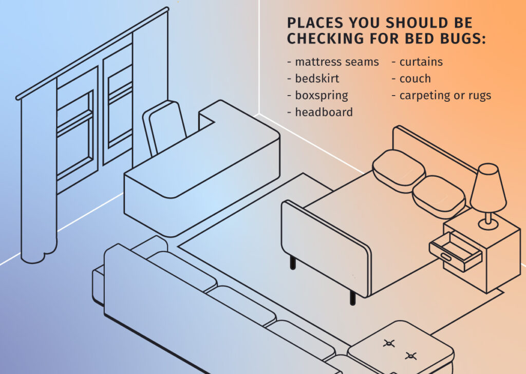 where to look for bed bugs in your hotel