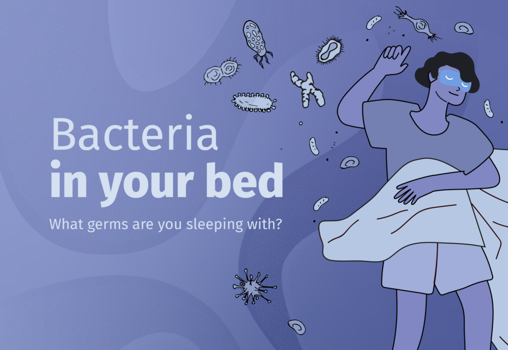 What Bacteria is in Your Bed? (2024) Mattress Clarity