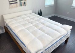 Coop Sleep Goods Retreat Mattress Topper