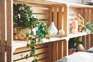 an ivy plant sits on a wooden shelf