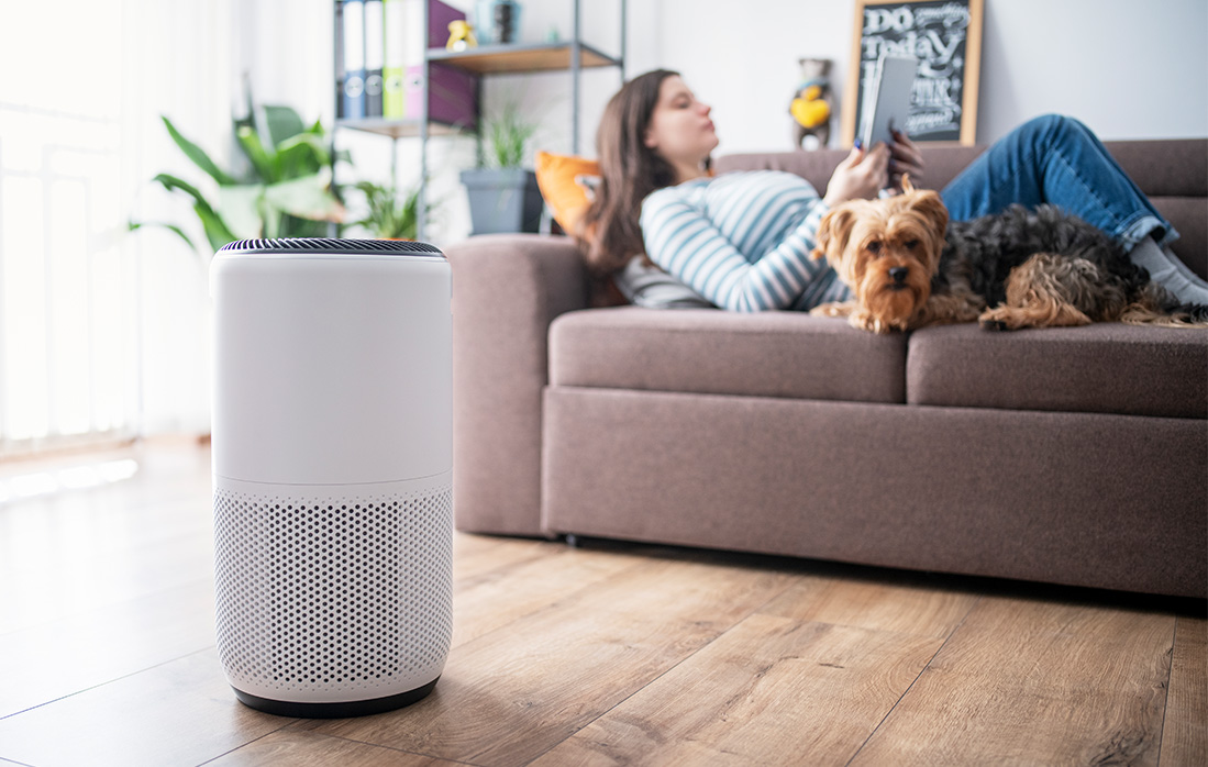 An air purifier sits in the foreground while a woman rests on her couch with a small dog
