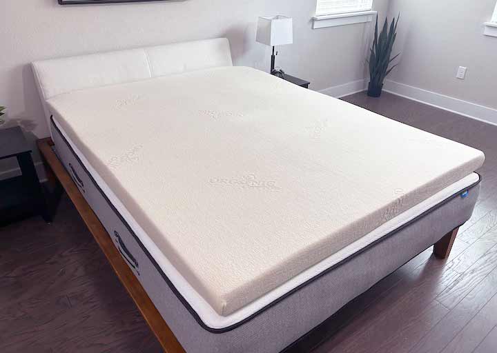 Plushbeds best sale natural latex