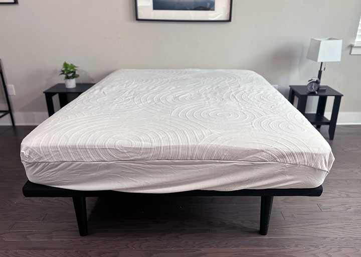 TEMPUR-Protect® Mattress Protector (CA King)