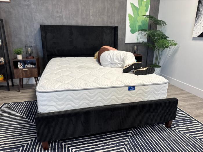 Sosha lying on her side on the DLX Classic Two-Sided Mattress