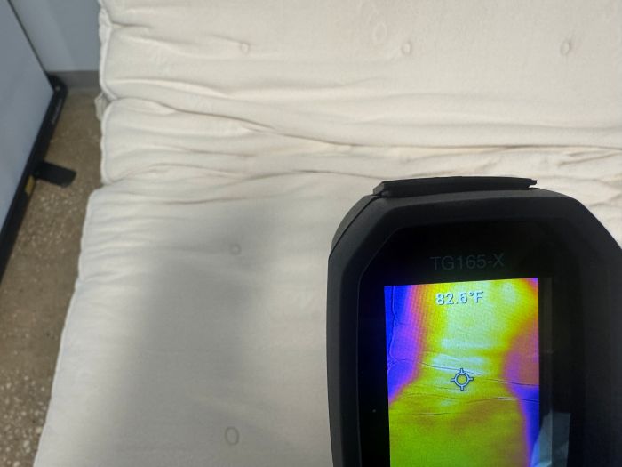 Avocado Eco Organic temp reading #2