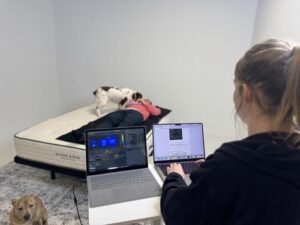 Generating pressure maps of the Avocado Green Mattress with canine helpers